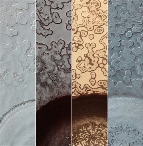 SouthernIceCap_500x512