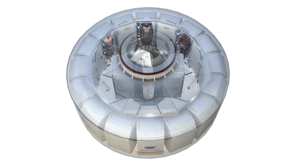 artG-torporHab-cut-away[1]