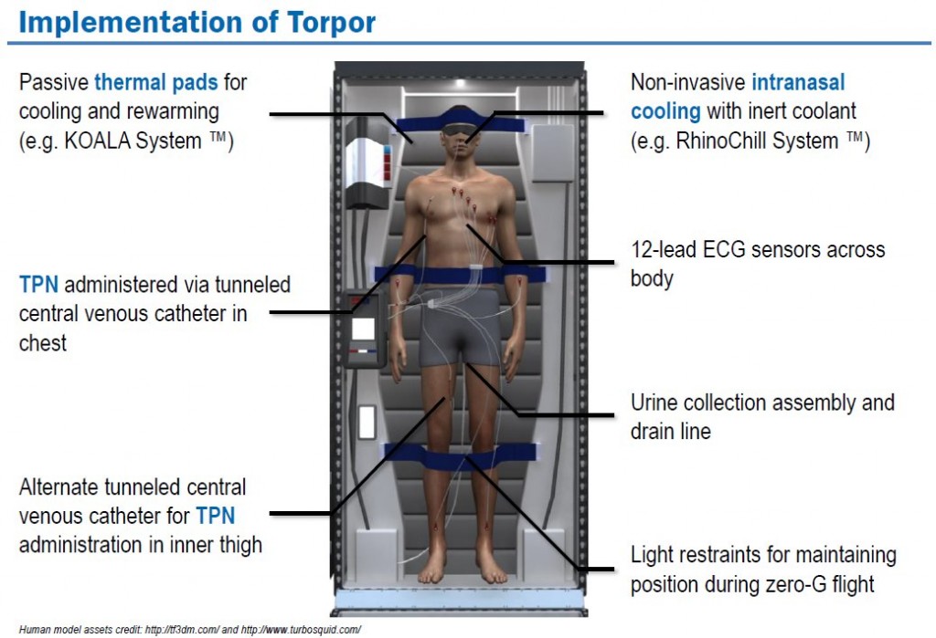 ImplementationOfTorpor