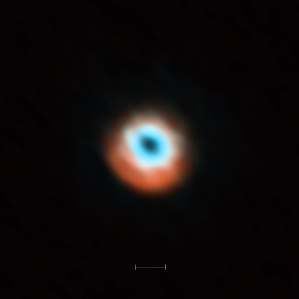 ALMA imaging of the transitional disc HD 135344B. This ALMA image combines a view of the dust around the young star HD 135344B (orange) with a view of the gaseous material (blue). The smaller hole in the inner gas is a telltale sign of the presence of a young planet clearing the disc. The bar at the bottom of the image indicates the diameter of the orbit of Neptune in the Solar System (60 AU).