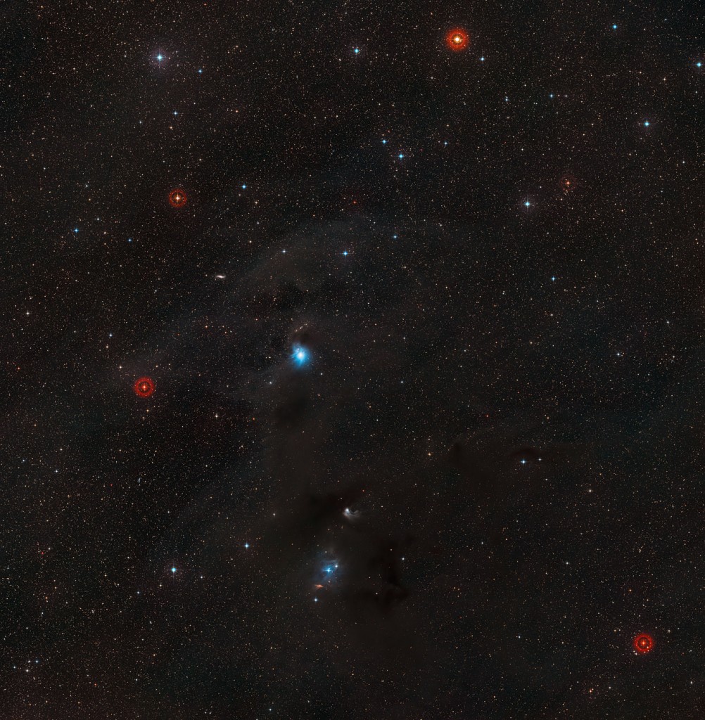 A newly formed star lights up the surrounding cosmic clouds to create the blue reflection nebula IC 2631 at the centre of this striking panorama of gas and dust clouds in the southern constellation of Chameleon. This picture was created from images forming part of the Digitized Sky Survey 2.