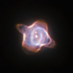 This image of the Stingray nebula, a planetary nebula 2700 light-years from Earth, was taken with the Wide Field and Planetary Camera 2 (WFPC2) in 1998. In the centre of the nebula the fast evolving star SAO 244567 is located. Observations made within the last 45 years showed that the surface temperature of the star increased by almost 40 000 degree Celsius. Now new observations of the spectra of the star have revealed that SAO 244567 has started to cool again.