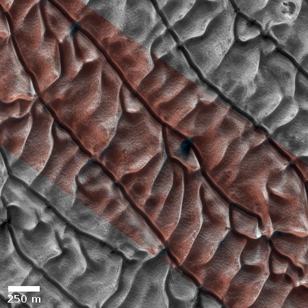 Dunes Dubbed Cool Fans