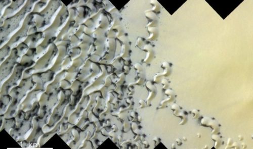 Dunes in Mars north polar area