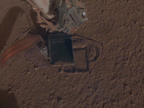 Insight Mole digs again with help