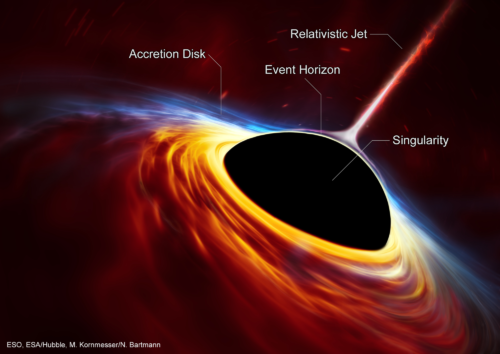 Black Hole Anatomy